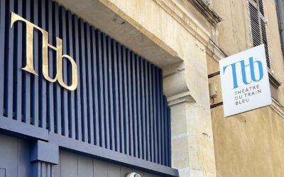 Retour sur la formation : « Mieux produire et diffuser son spectacle » au Théâtre du Train Bleu